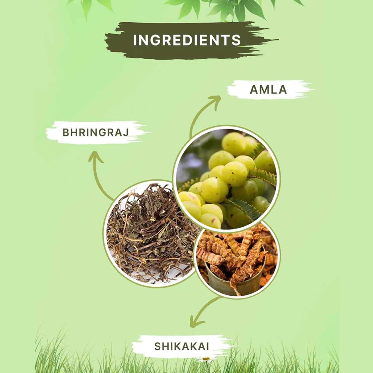 Zequz Anti Hair Fall Shampoo - (1 Pc / 250ML)