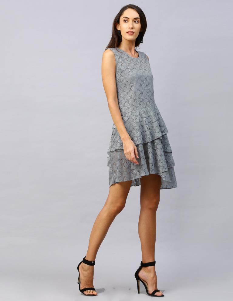 Grey Coloured Net Russell Net Dress