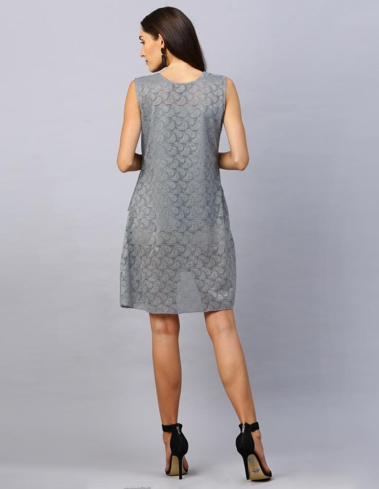 Grey Coloured Net Russell Net Dress