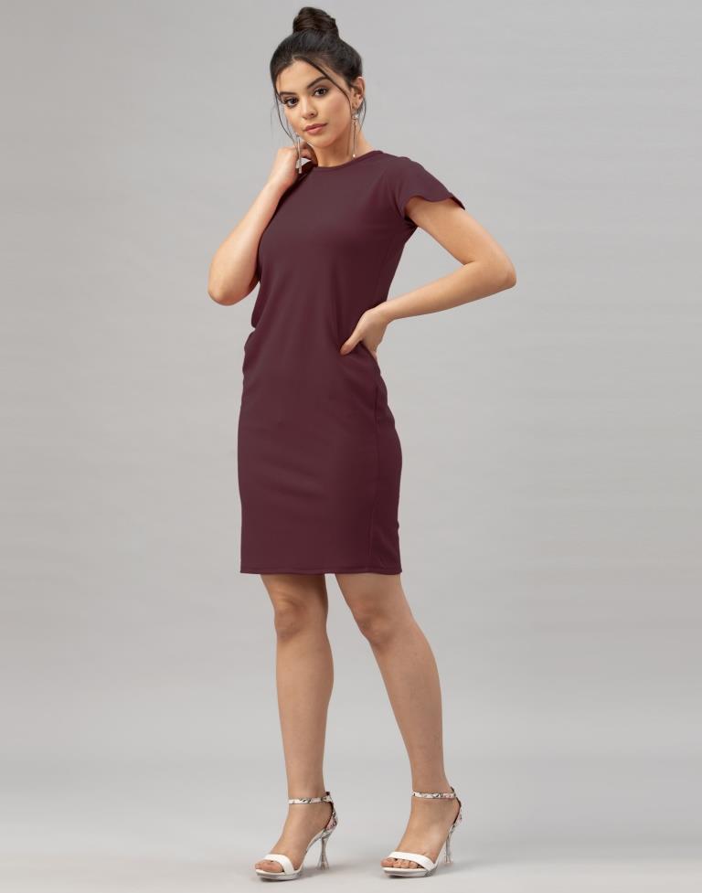 Idyiic Dark Brown Coloured Knitted Lycra Dress