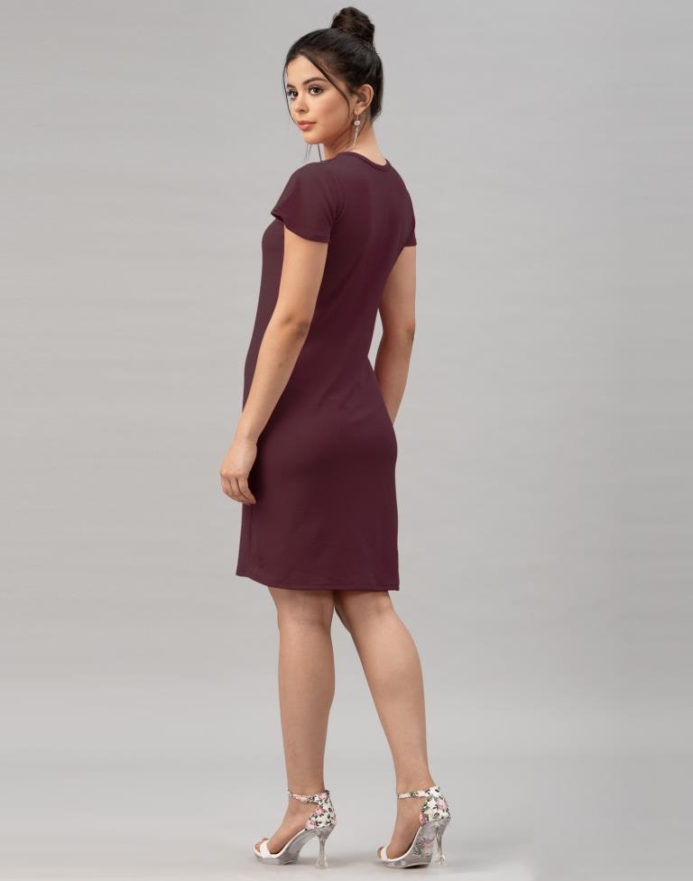 Idyiic Dark Brown Coloured Knitted Lycra Dress