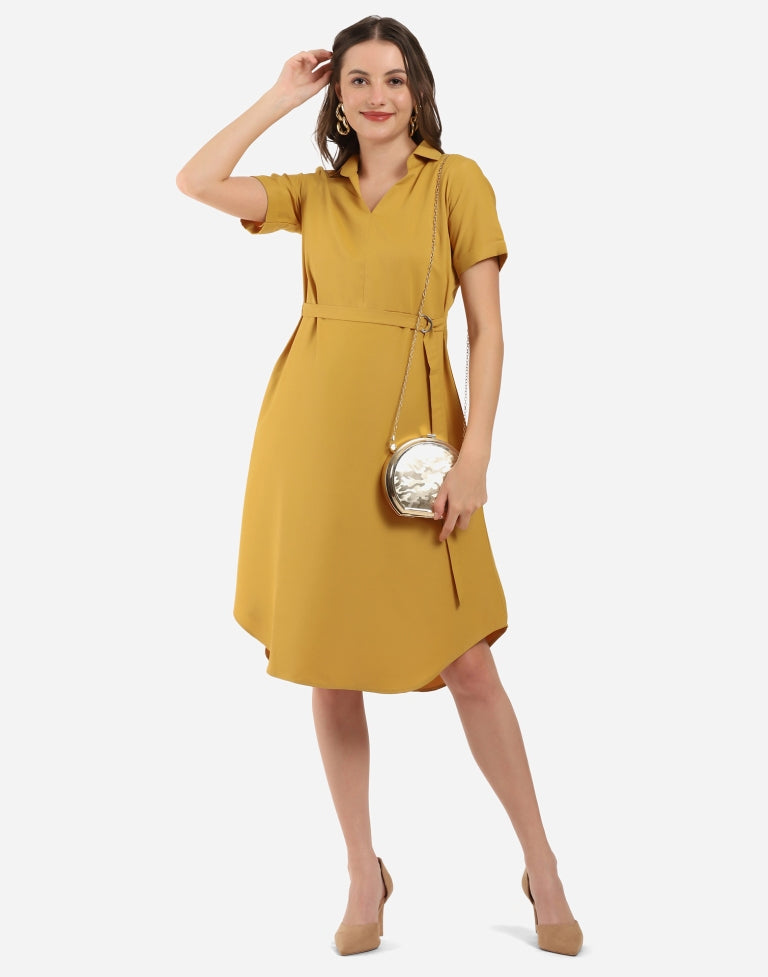 Mustard Flared Dress