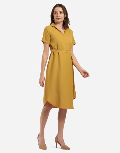 Mustard Flared Dress