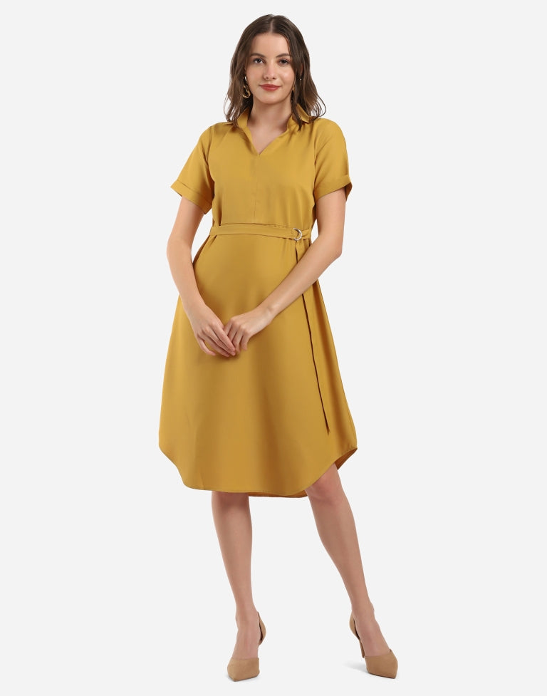 Mustard Flared Dress