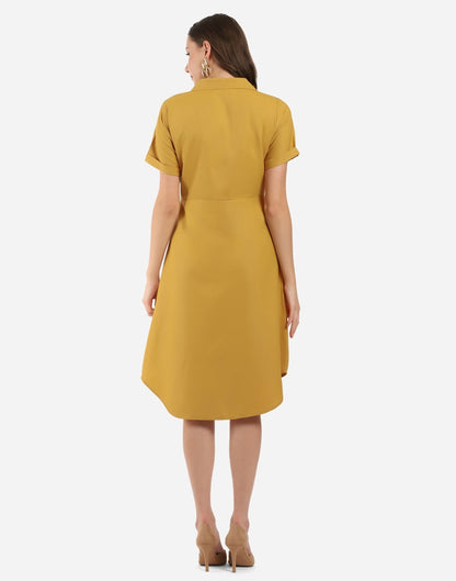 Mustard Flared Dress