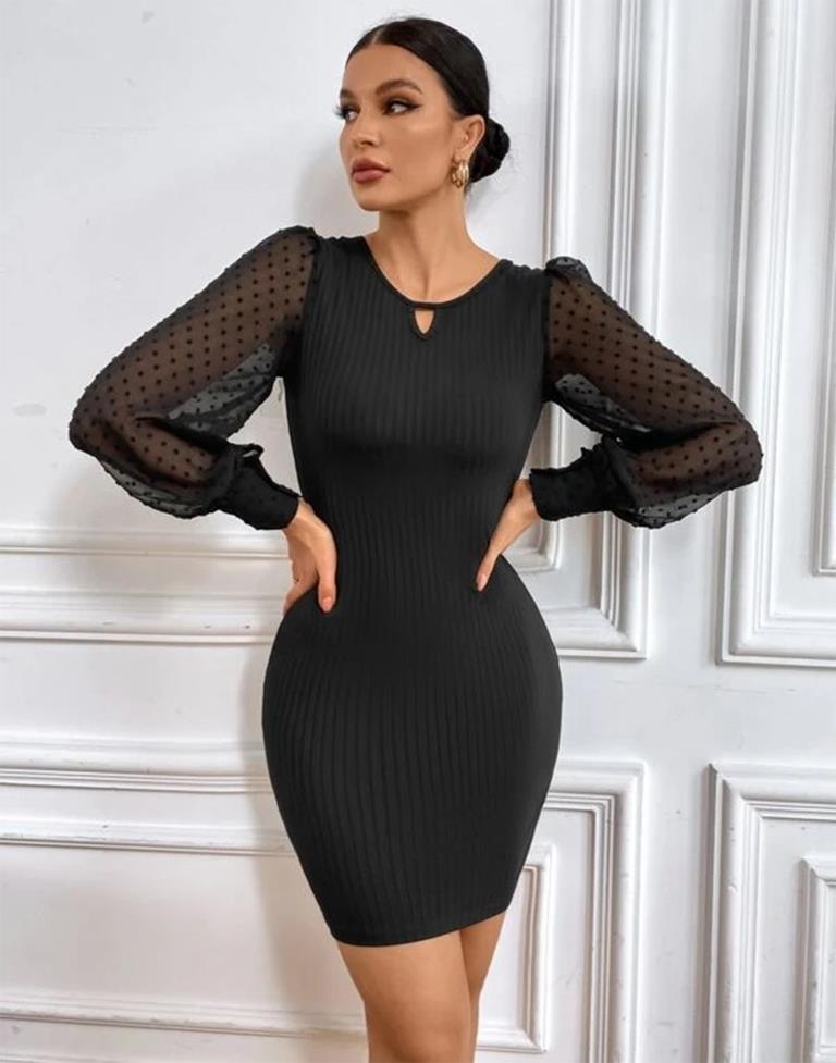 Black Swiss Dot Mesh Sleeve Bodycon Dress 