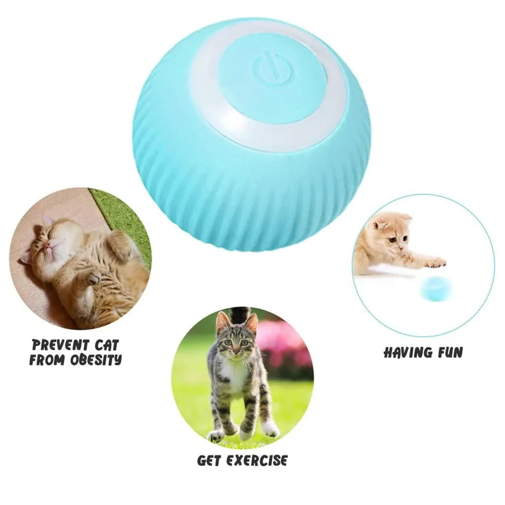 Purrfect Spin Rechargeable Cat Toy