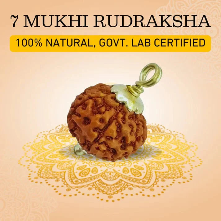 7 Mukhi Rudraksha Silver Capped Pendant