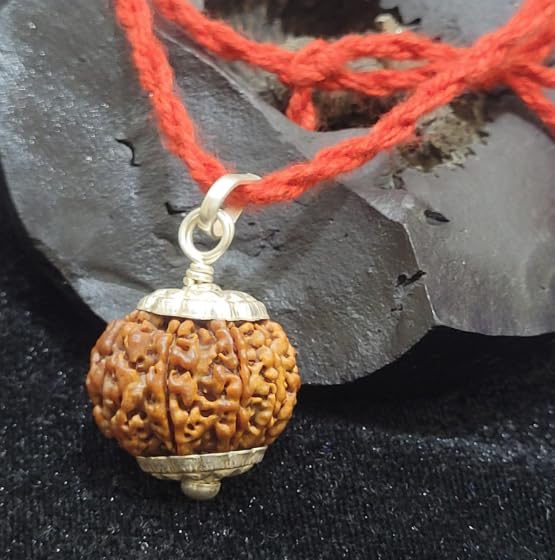 7 Mukhi Rudraksha Silver Capped Pendant