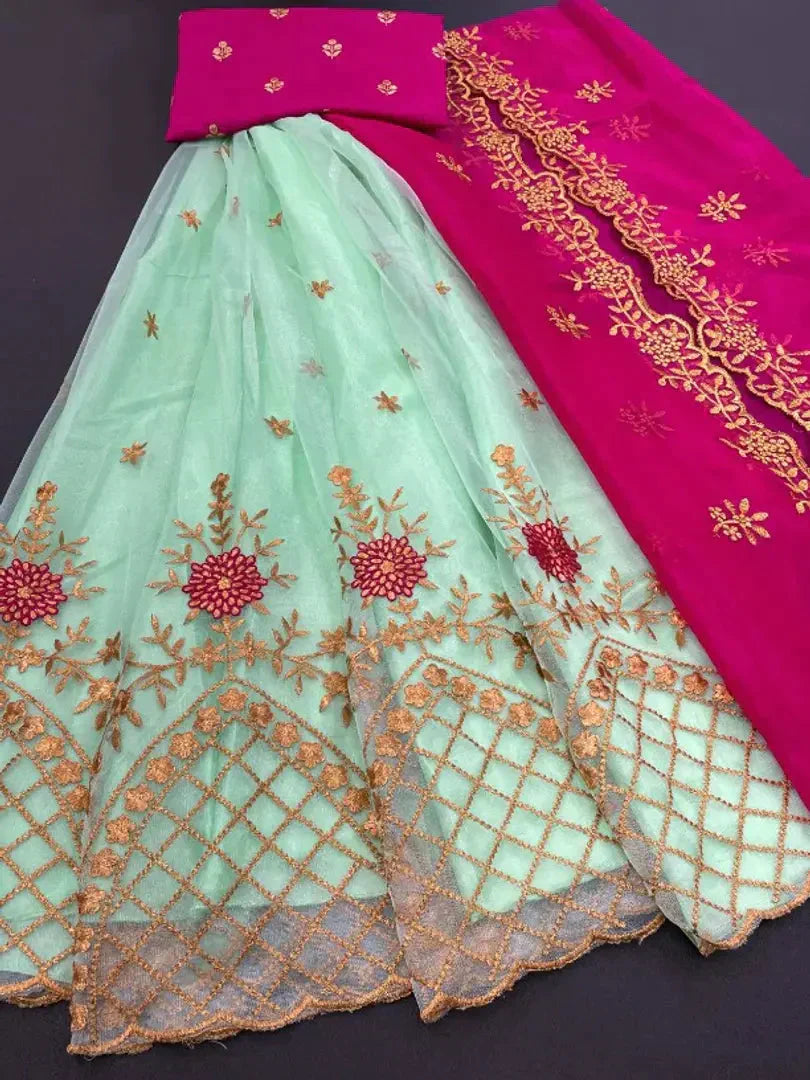 Attractive Net Lehenga For Women simsim