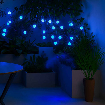 Solar LED Fiber Optic Garden Light - (1 Pc / Mix LED LIght)