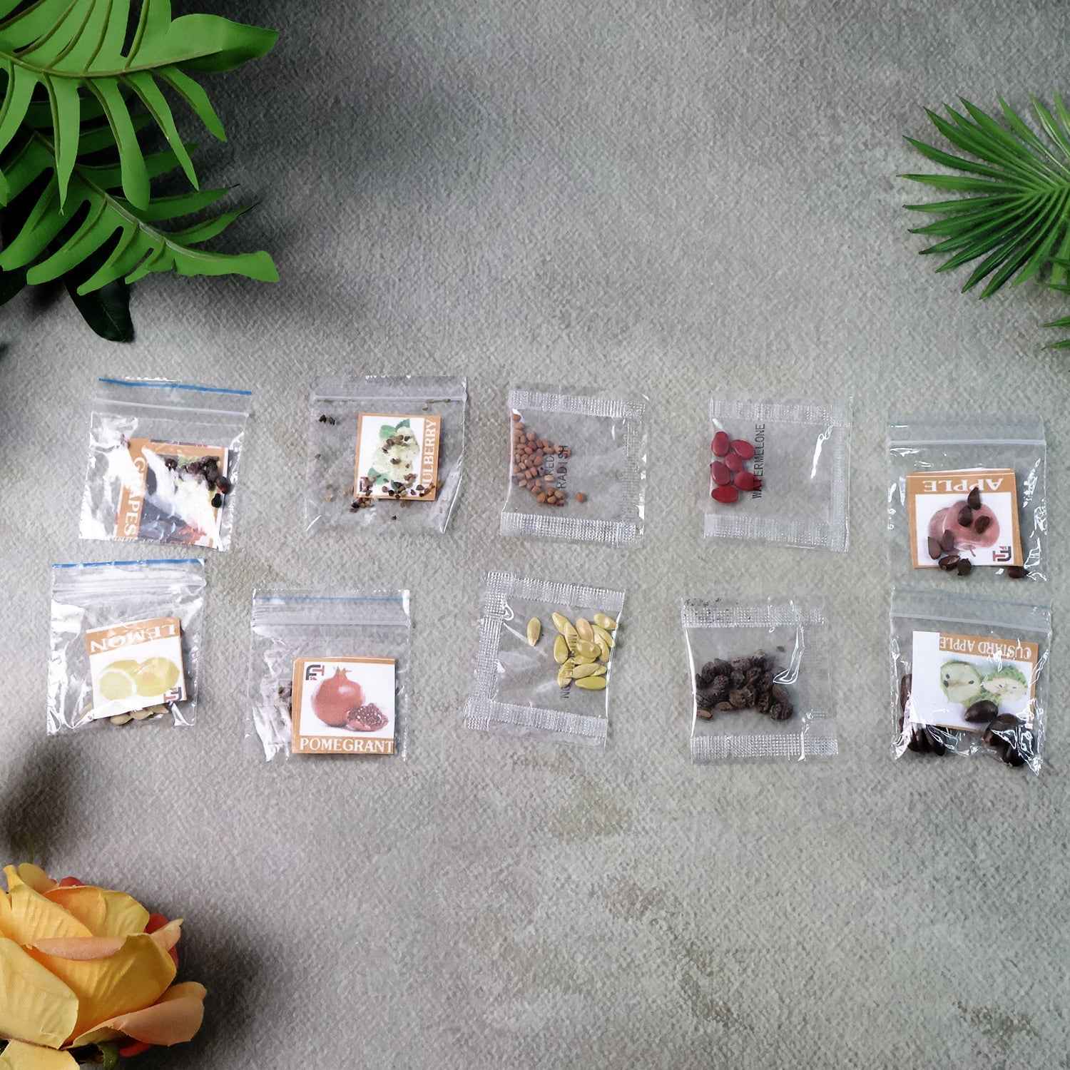 Fruit Seeds Combo Pack - (10 Pc / Set)