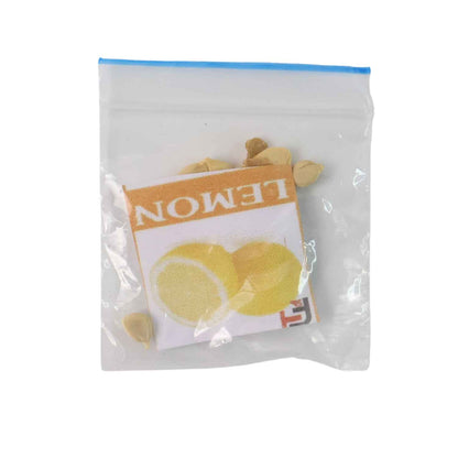 Fruit Seeds Combo Pack - (10 Pc / Set)