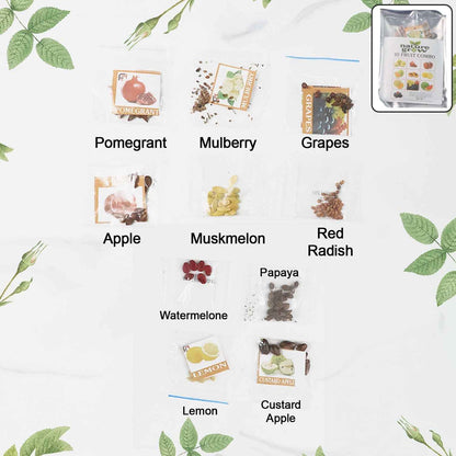 Fruit Seeds Combo Pack - (10 Pc / Set)