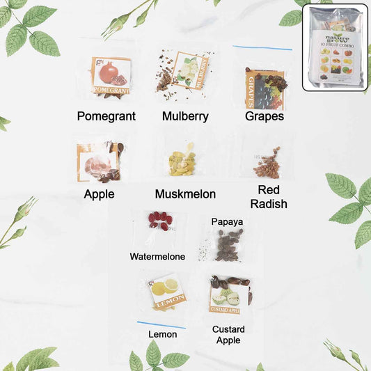 Fruit Seeds Combo Pack - (10 Pc / Set)