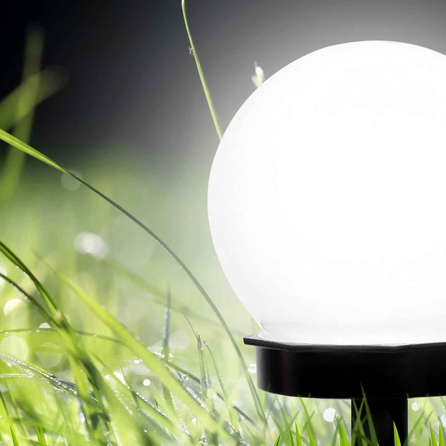 Solar-Powered LED Garden Globe Pathway Light (1 Pc)