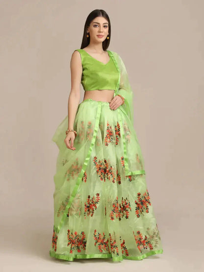 Women  Net Semi Stitched Lehenga Choli simsim