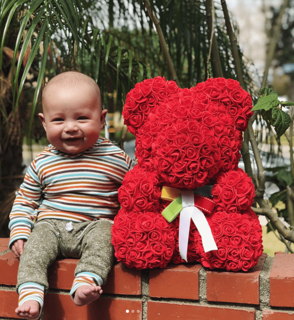 Cute Teddy Bear Toy Lovely Rose Bear Soft Toy - Snooxi™ Red Snooxi™ Zaavio®