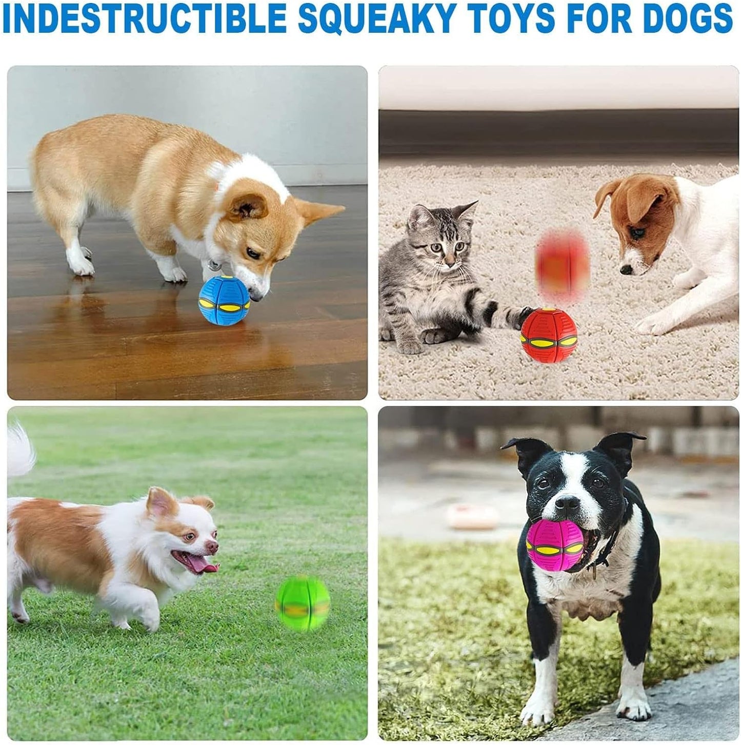 FrolicBall™️ Magic Ball Toy For Pet