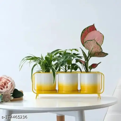 Kraphy Modern Ceramic Design Flowerpot Colorful Iron Shelf Planter Pot 